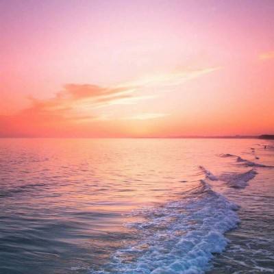 星空体育官方网站手机app下载