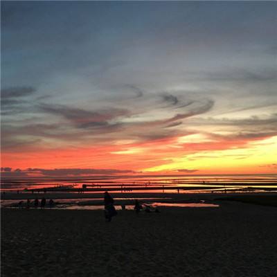 米乐下载地址下载手机版